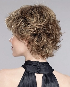 Daily bernstein rooted.jpg