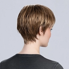 Tool bernstein rooted.jpg