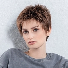 Chat chocolate rooted.jpg