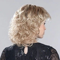 Cat champagne rooted.jpg