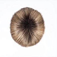 Blues lightbernstein rooted.jpg