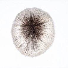 Blues silverblonde rooted.jpg