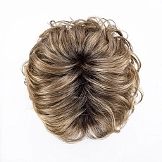  Cat lightbernstein rooted.jpg