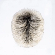 Coco platinblonde rooted.jpg