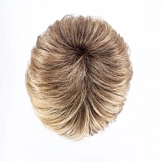 Daily bernstein rooted.jpg