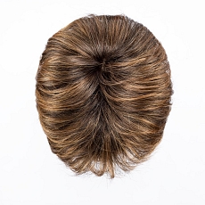 Date hazelnut rooted.jpg