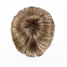 Disc bernstein rooted.jpg