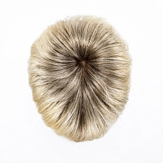 Disc champagne rooted.jpg