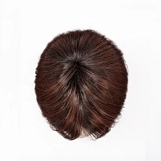 En Vogue auburn rooted.jpg