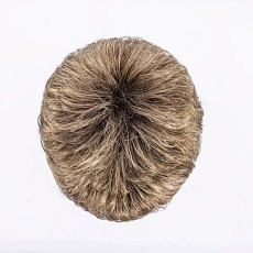 Foxy small bernstein rooted.jpg