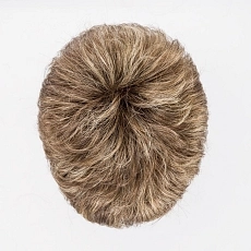 Foxy bernstein rooted.jpg