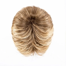 Fair lightbernstein rooted.jpg