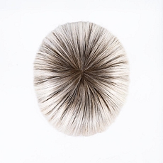 Cher platinblonde rooted.jpg