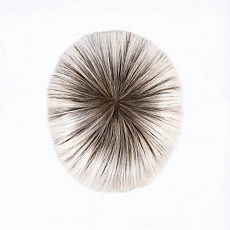 Cher platinblonde rooted.jpg