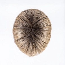 Cher sandyblonde rooted.jpg