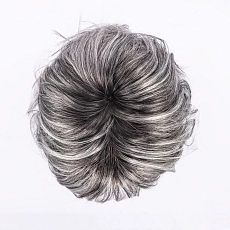 Like Mono Part salt pepper rooted.jpg