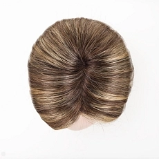 Limit Mono Part bernstein rooted.jpg