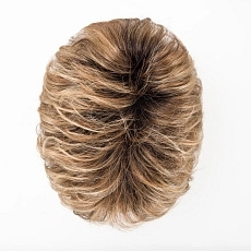 Spring Hi lighbernstein rooted.jpg