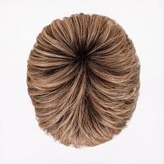 Novel Deluxe lightbernstein rooted.jpg