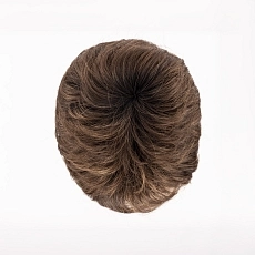 Jolly II chocolate rooted.jpg