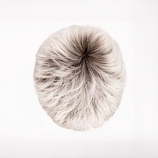 Jolly II silver rooted.jpg