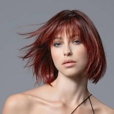 Mikado Mono cherryred tipped.jpg