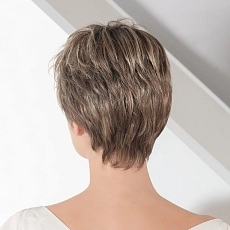 Posh bernstein rooted.jpg