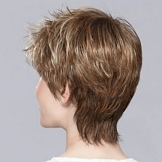 Fair lightbernstein rooted.jpg