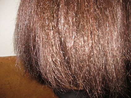 Ukázka revatalizace paruky