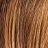 hazelnut rooted