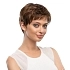 Paruka Lucy*