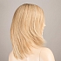 sandyblonde rooted