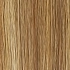 lightbernstein rooted