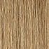 lightbernstein rooted