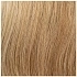 sandyblonde rooted