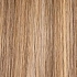 lightbernstein rooted