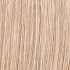 sandyblonde rooted