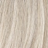 champagne rooted