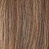 chocolate rooted