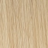 lightchampagne rooted