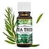 Esenciální olej Tea Tree