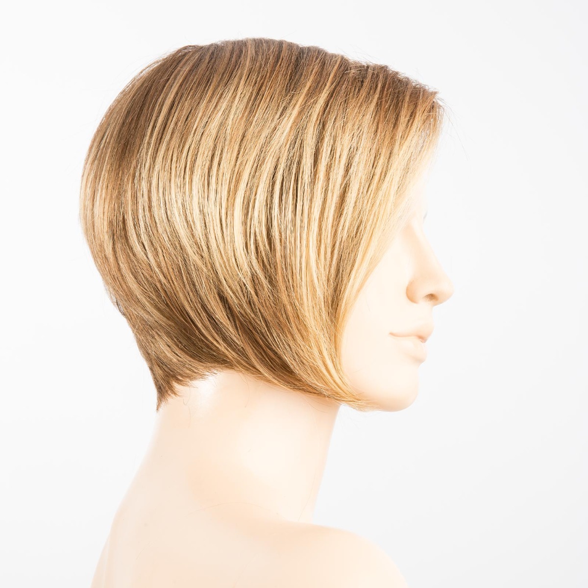 lightbernstein rooted 