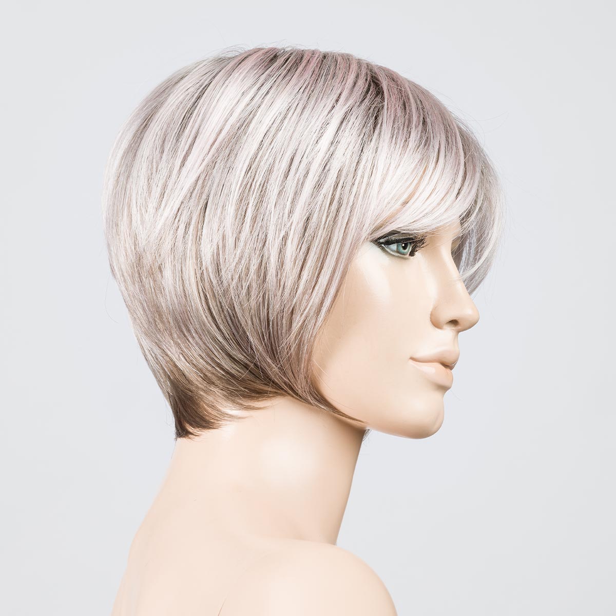 metallic rose rooted 