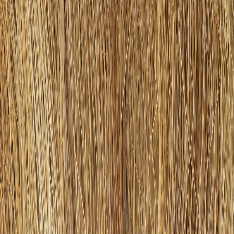 lightbernstein rooted 