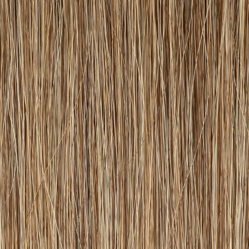 bernstein mix 