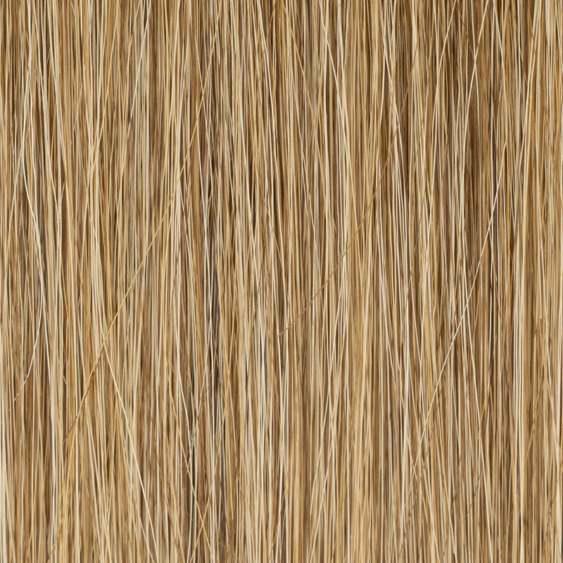 lightbernstein rooted 